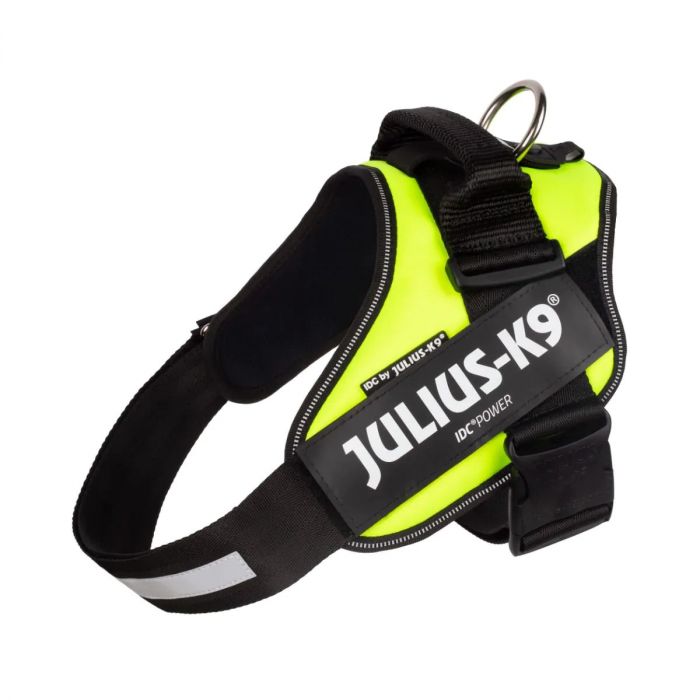 Difference between julius cheap k9 and idc